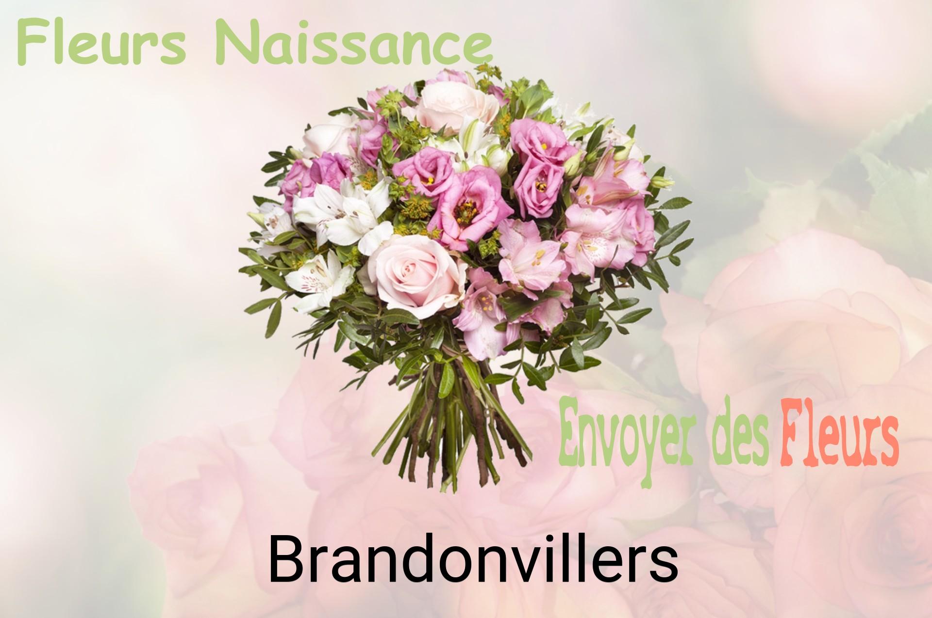 Bouquet de fleurs de naissance livré à Brandonvillers